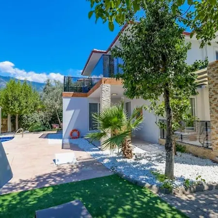 Villa Seyir *