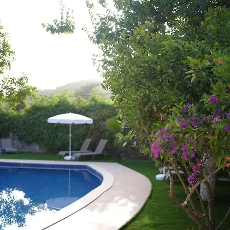 Villa Seyir *
