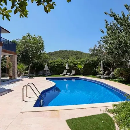 Seyir Φετιγιέ