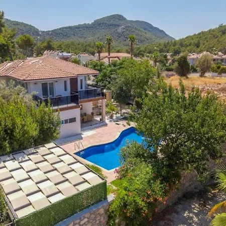 Seyir Φετιγιέ