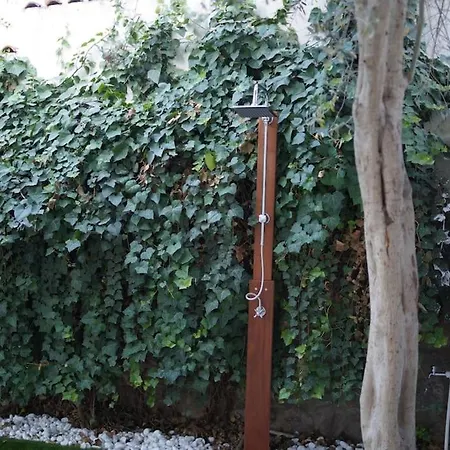 Seyir Βίλα Φετιγιέ