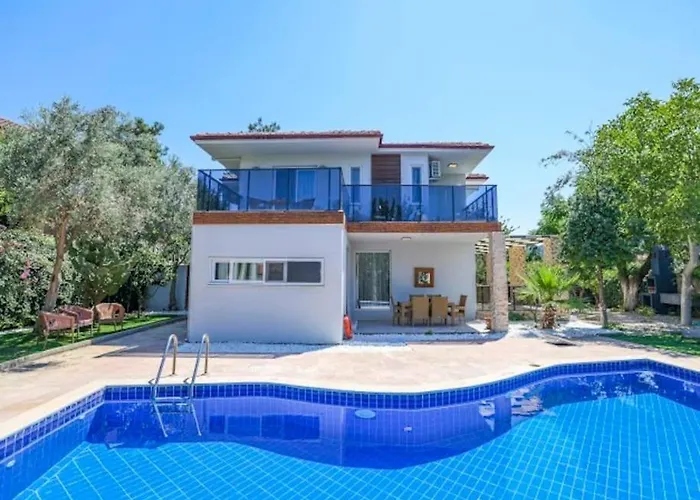 Seyir * 费特希耶