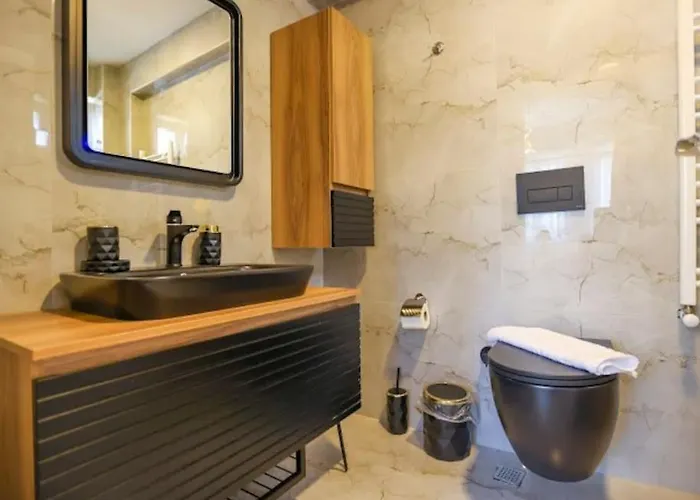 Seyir フェティエ